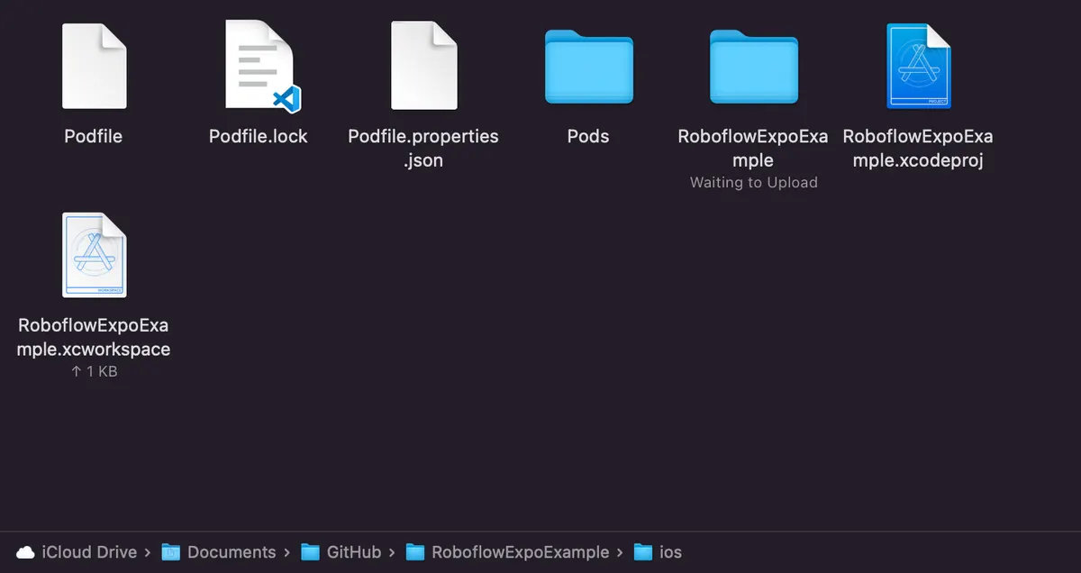 The project directory after successful installation of the Podfile